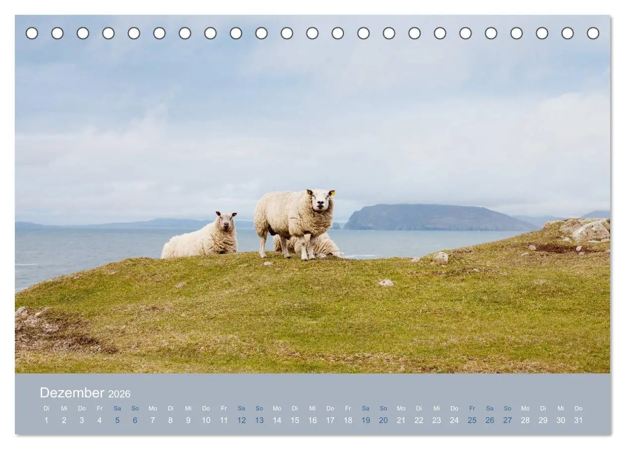 Bild: 9783457895351 | Unter Schafen - Wegbegleiter auf Reisen (Tischkalender 2026 DIN A5...