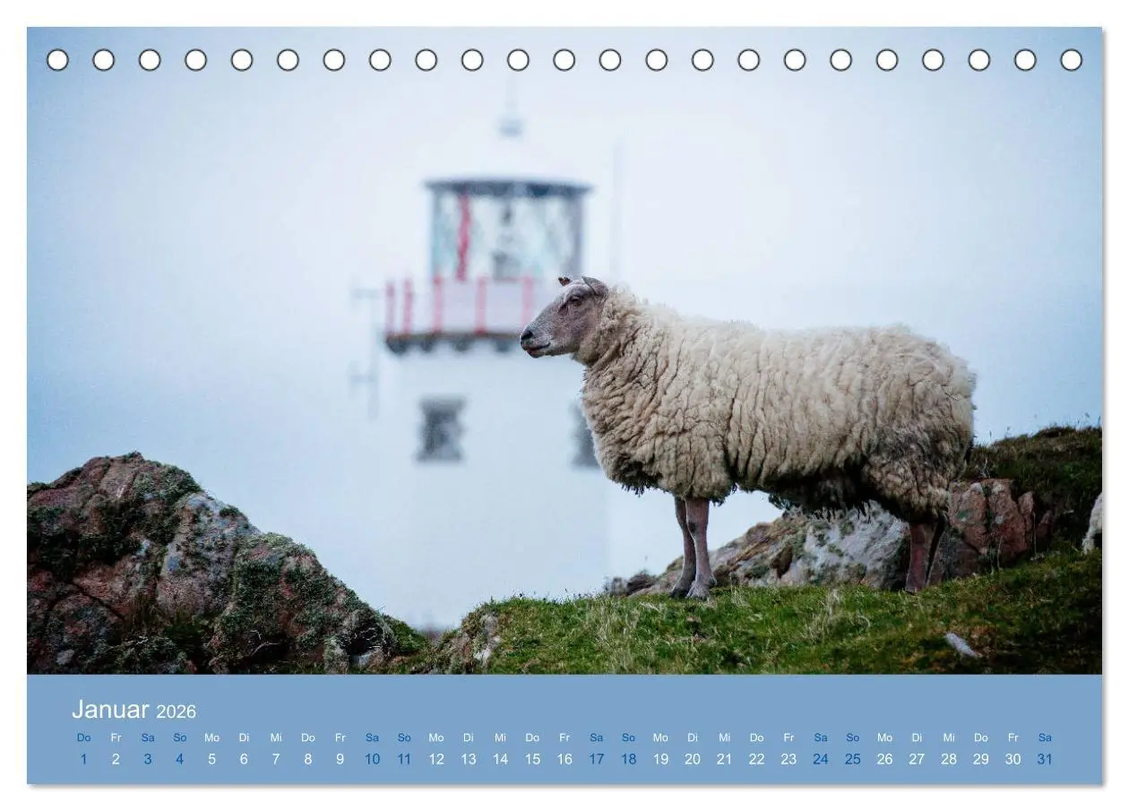 Bild: 9783457895351 | Unter Schafen - Wegbegleiter auf Reisen (Tischkalender 2026 DIN A5...