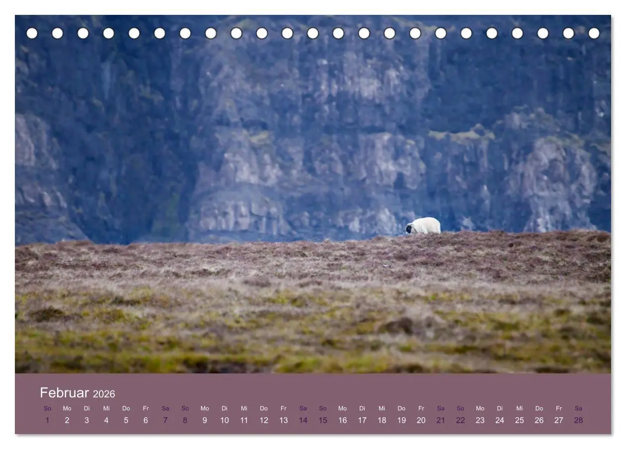 Bild: 9783457895351 | Unter Schafen - Wegbegleiter auf Reisen (Tischkalender 2026 DIN A5...