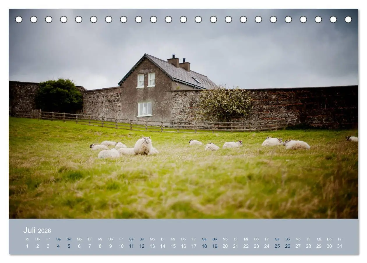 Bild: 9783457895351 | Unter Schafen - Wegbegleiter auf Reisen (Tischkalender 2026 DIN A5...