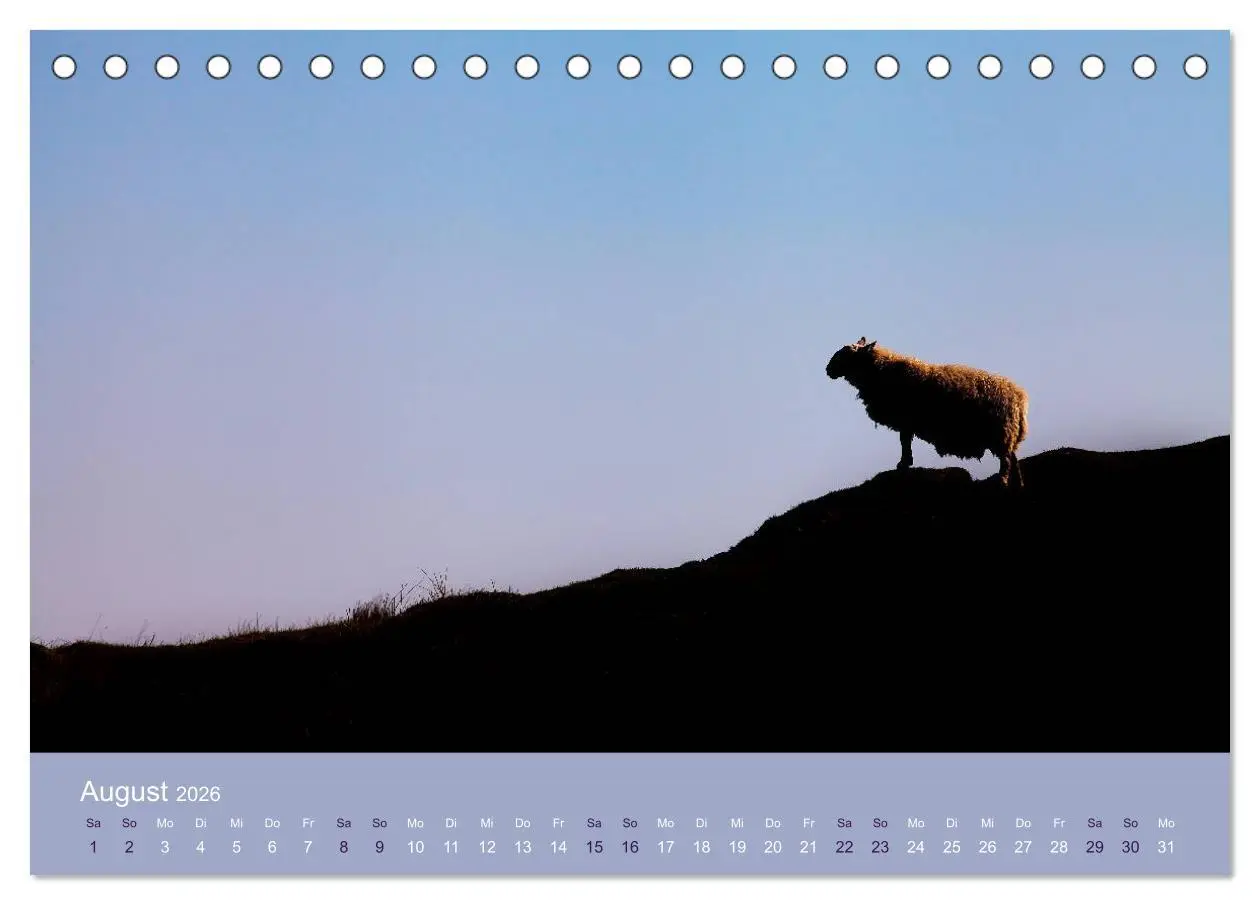 Bild: 9783457895351 | Unter Schafen - Wegbegleiter auf Reisen (Tischkalender 2026 DIN A5...