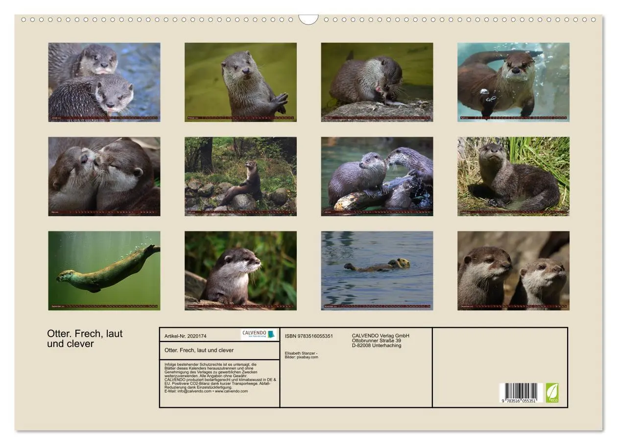 Bild: 9783516055351 | Otter. Frech, laut und clever (Wandkalender 2026 DIN A2 quer),...