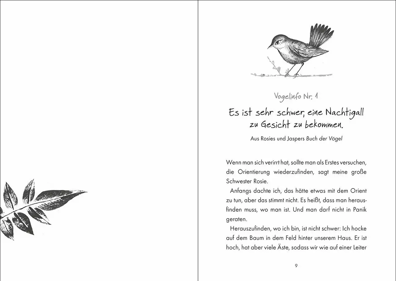 Rückseite: 9783743215351 | Jasper und das Lied der Nachtigall | Sarah Ann Juckes | Buch | 272 S.