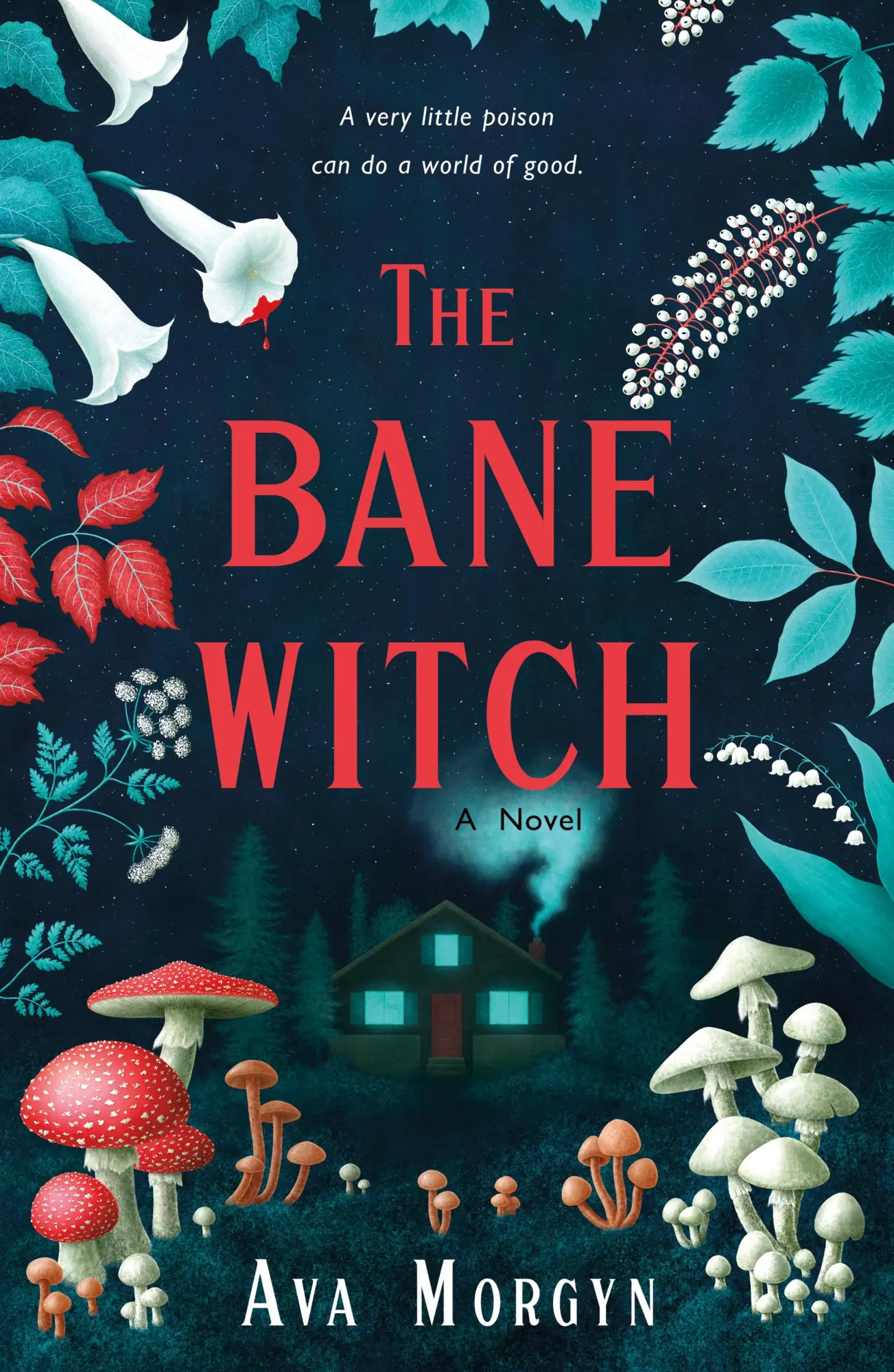 Cover: 9781250835451 | The Bane Witch | Ava Morgyn | Taschenbuch | St. Martin's Griffin