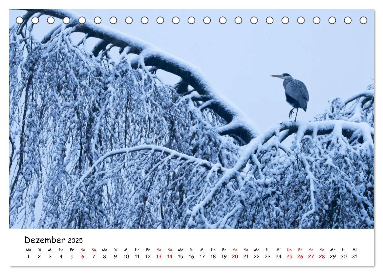 Bild: 9783435175451 | Die Graureiher vom Ahnepark (Tischkalender 2025 DIN A5 quer),...