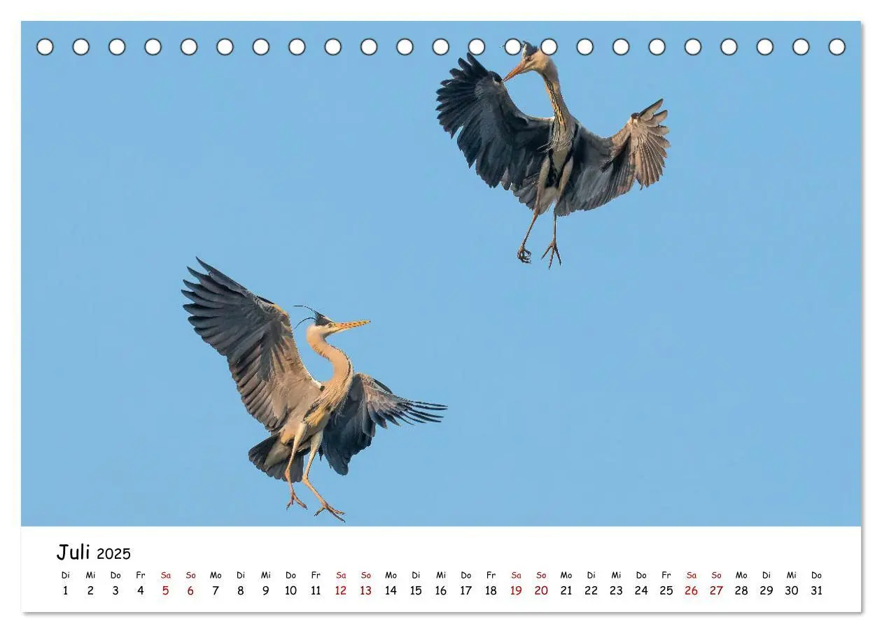 Bild: 9783435175451 | Die Graureiher vom Ahnepark (Tischkalender 2025 DIN A5 quer),...