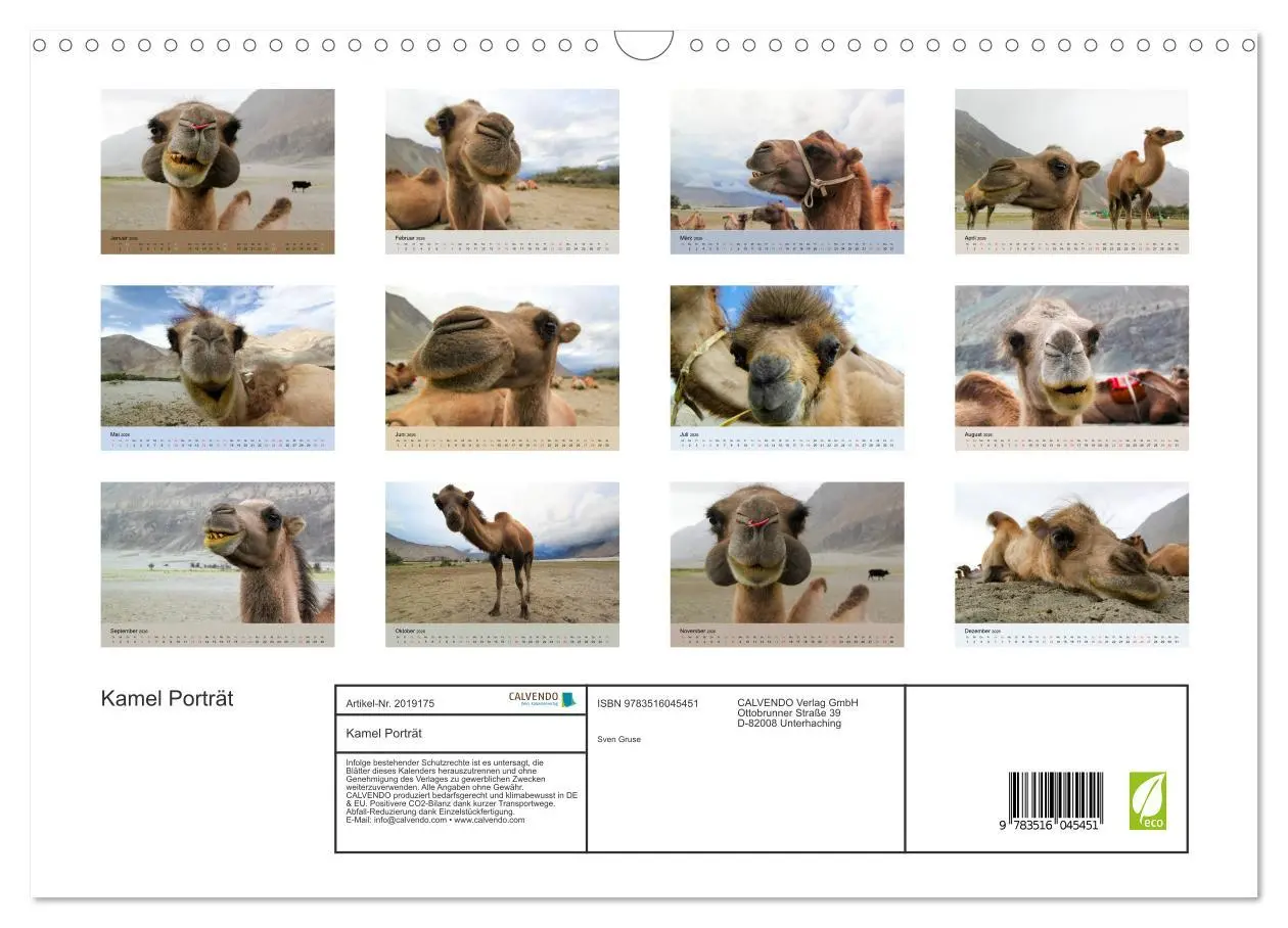 Bild: 9783516045451 | Kamel Porträt (Wandkalender 2026 DIN A3 quer), CALVENDO Monatskalender