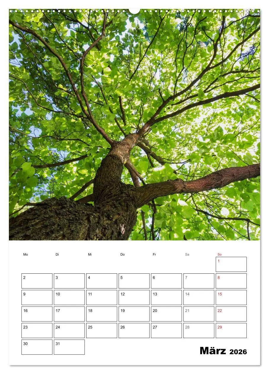 Bild: 9783516425451 | Farben der Natur (hochwertiger Premium Wandkalender 2026 DIN A2...