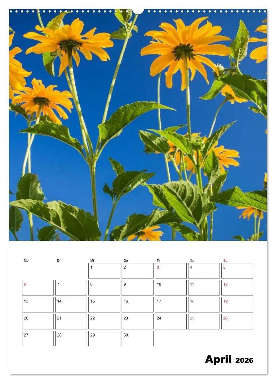 Bild: 9783516425451 | Farben der Natur (hochwertiger Premium Wandkalender 2026 DIN A2...