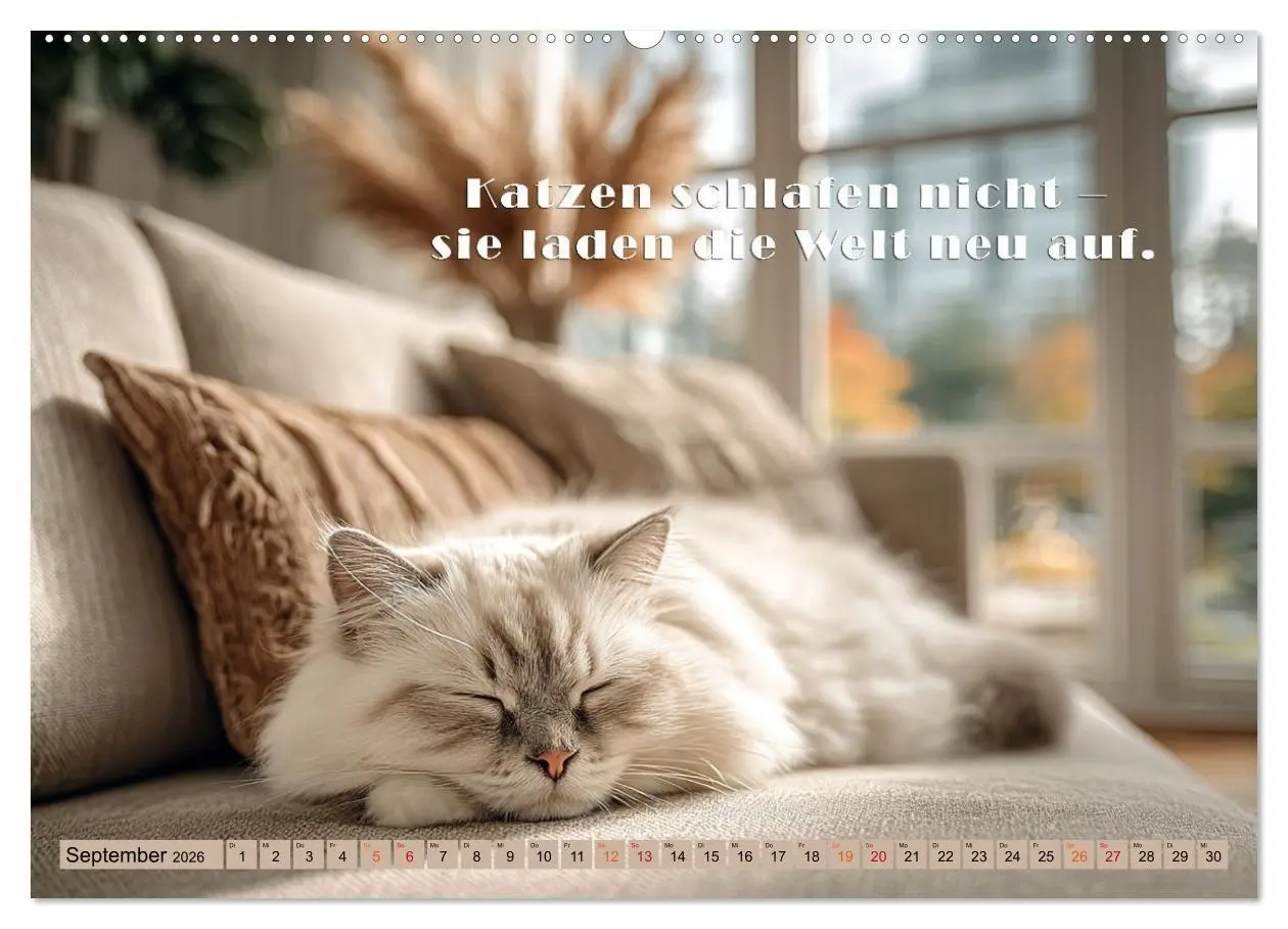 Bild: 9783516665451 | Miau-velous Pfotenpoesie (hochwertiger Premium Wandkalender 2026...