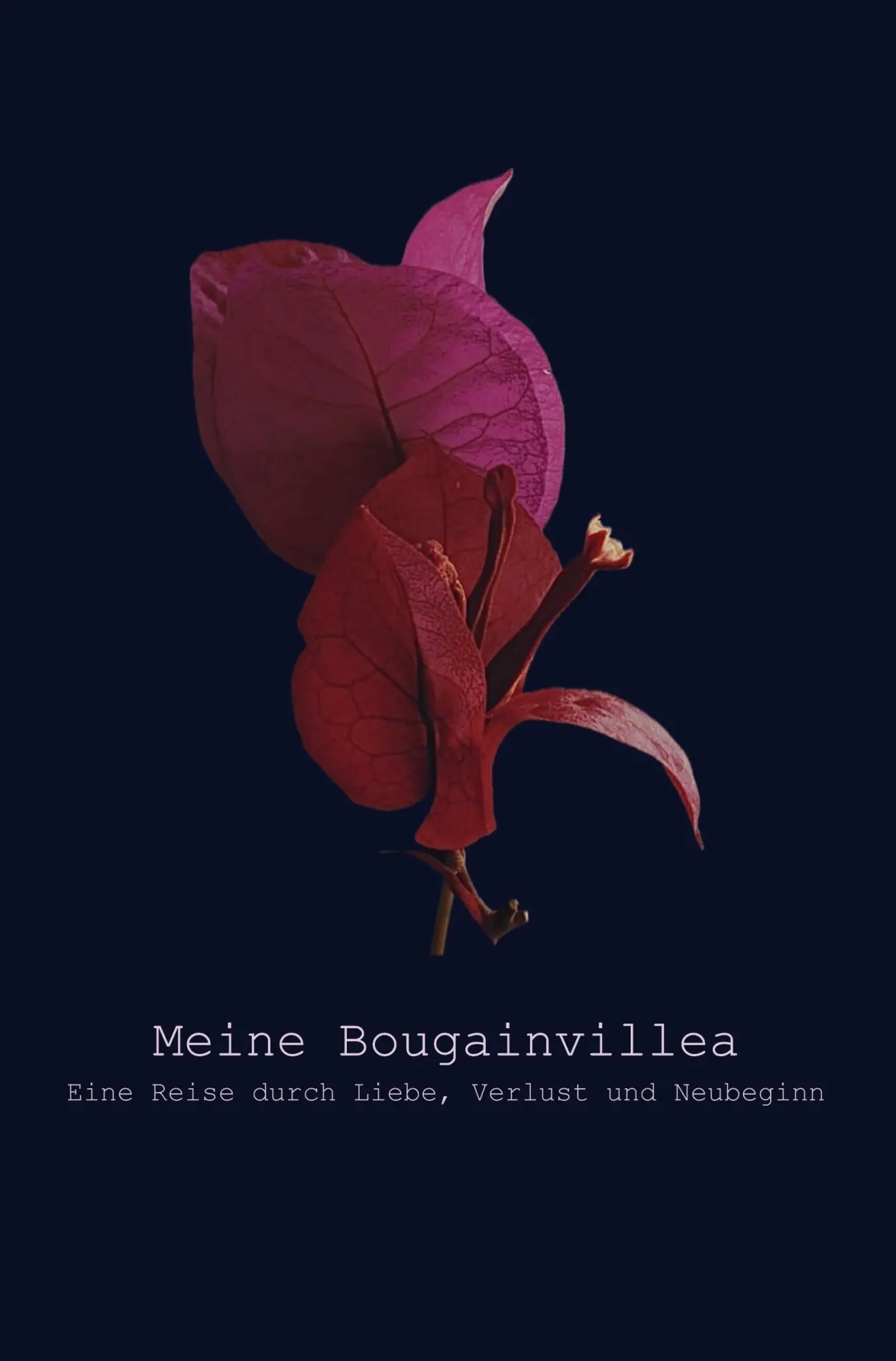 Cover: 9783819465451 | Meine Bougainvillea | Eine Reise durch Liebe, Verlust und Neubeginn