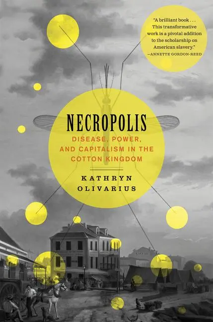 Cover: 9780674295551 | Necropolis | Disease, Power, and Capitalism in the Cotton Kingdom