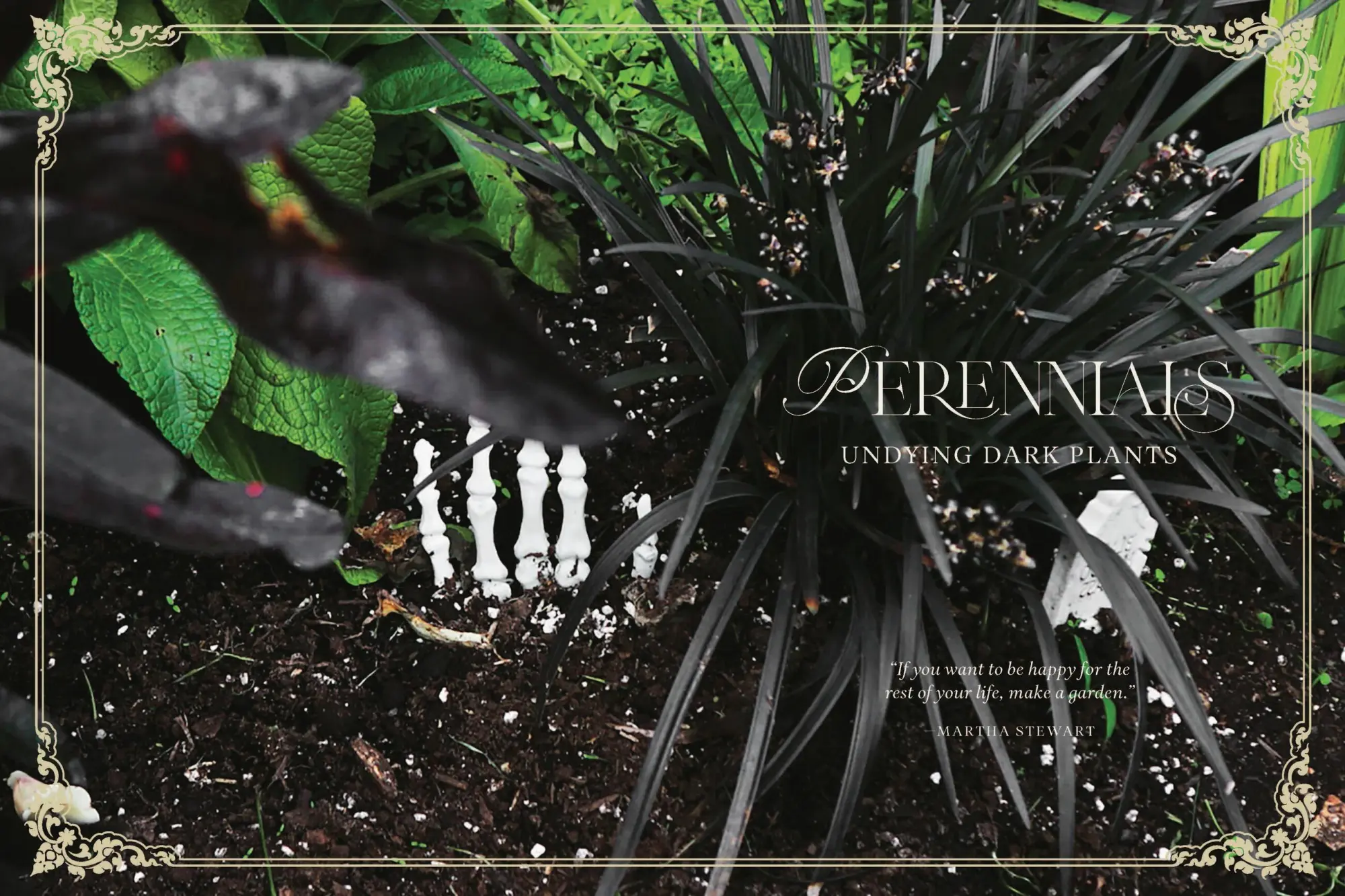 Bild: 9781643265551 | Darkness in Bloom | A Gothic Guide to Dramatic and Moody Plants | Buch