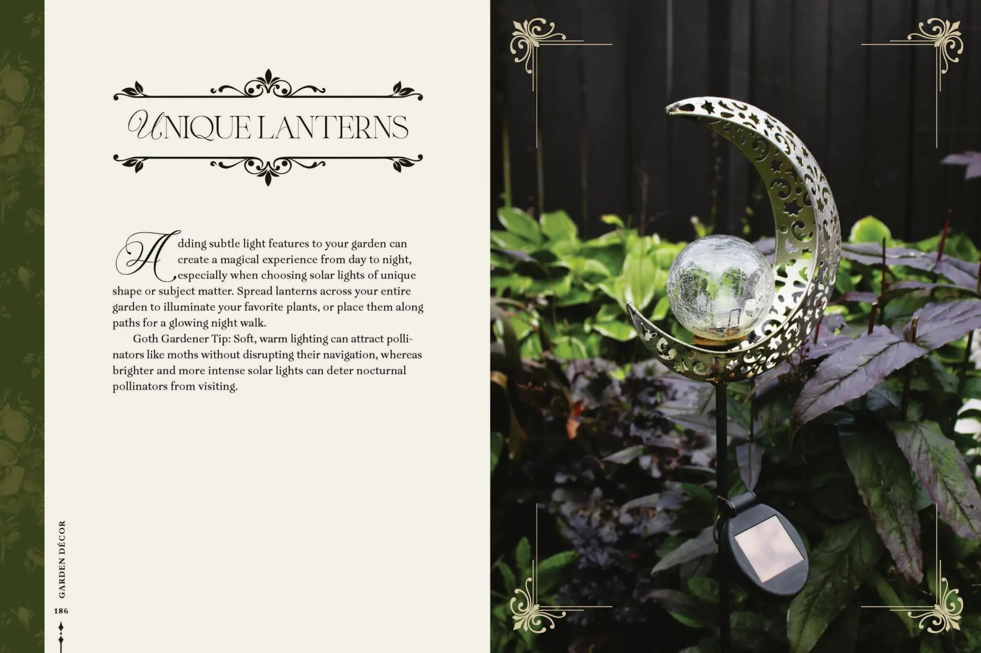 Bild: 9781643265551 | Darkness in Bloom | A Gothic Guide to Dramatic and Moody Plants | Buch