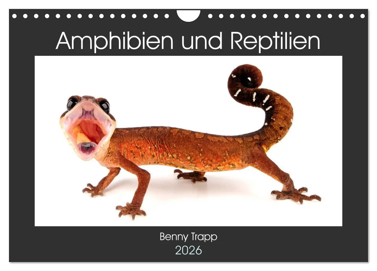 Cover: 9783457875551 | Amphibien und Reptilien (Wandkalender 2026 DIN A4 quer), CALVENDO...
