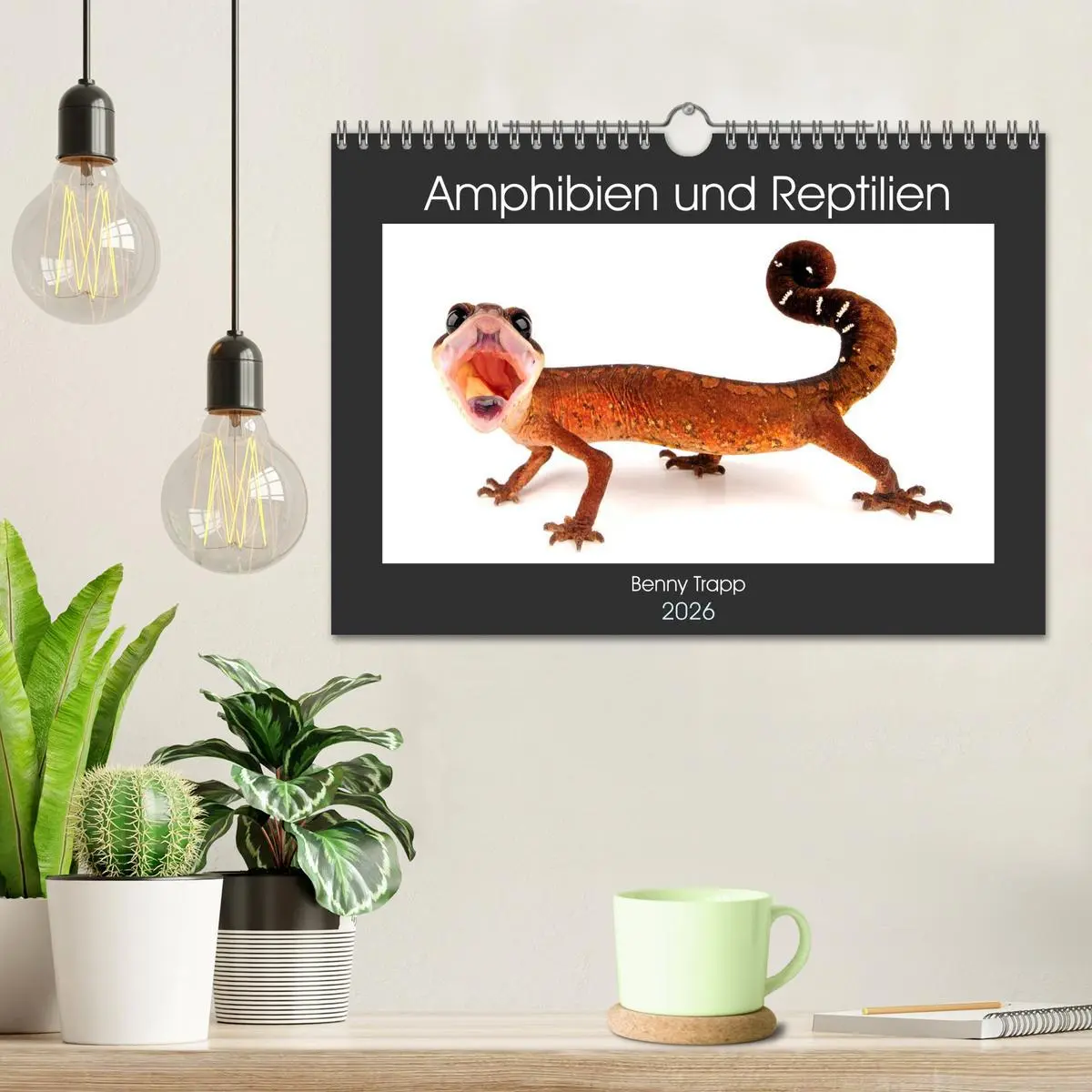 Bild: 9783457875551 | Amphibien und Reptilien (Wandkalender 2026 DIN A4 quer), CALVENDO...