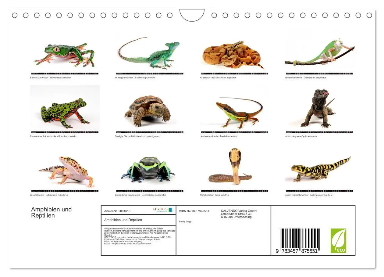 Bild: 9783457875551 | Amphibien und Reptilien (Wandkalender 2026 DIN A4 quer), CALVENDO...