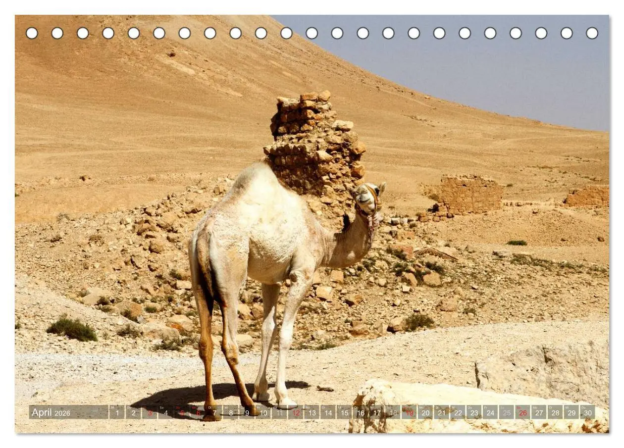 Bild: 9783516025651 | Palmyra - Historisches Syrien (Tischkalender 2026 DIN A5 quer),...