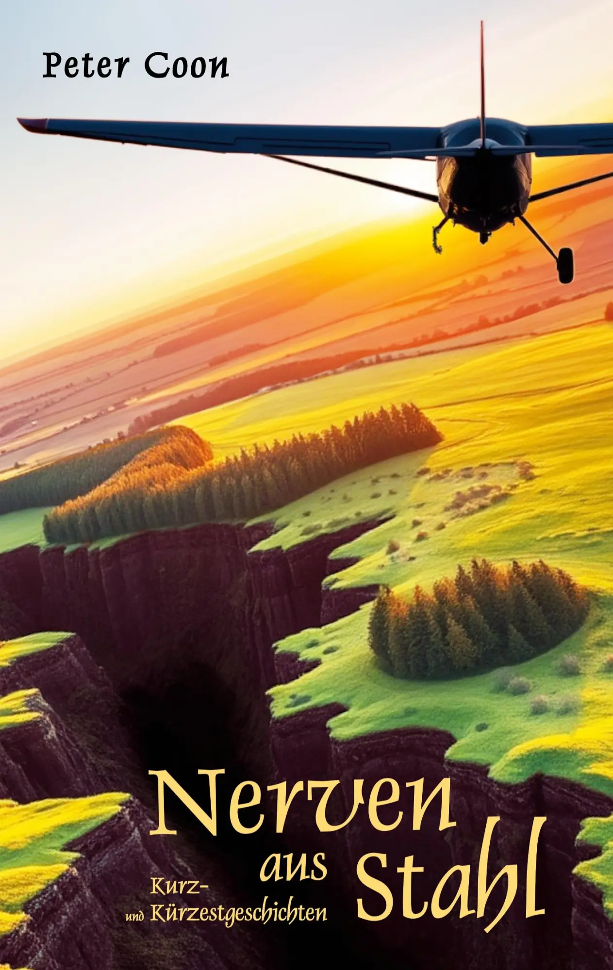 Cover: 9783695155651 | Nerven aus Stahl | Zehn Kurz- und drei Kürzestgeschichten | Peter Coon