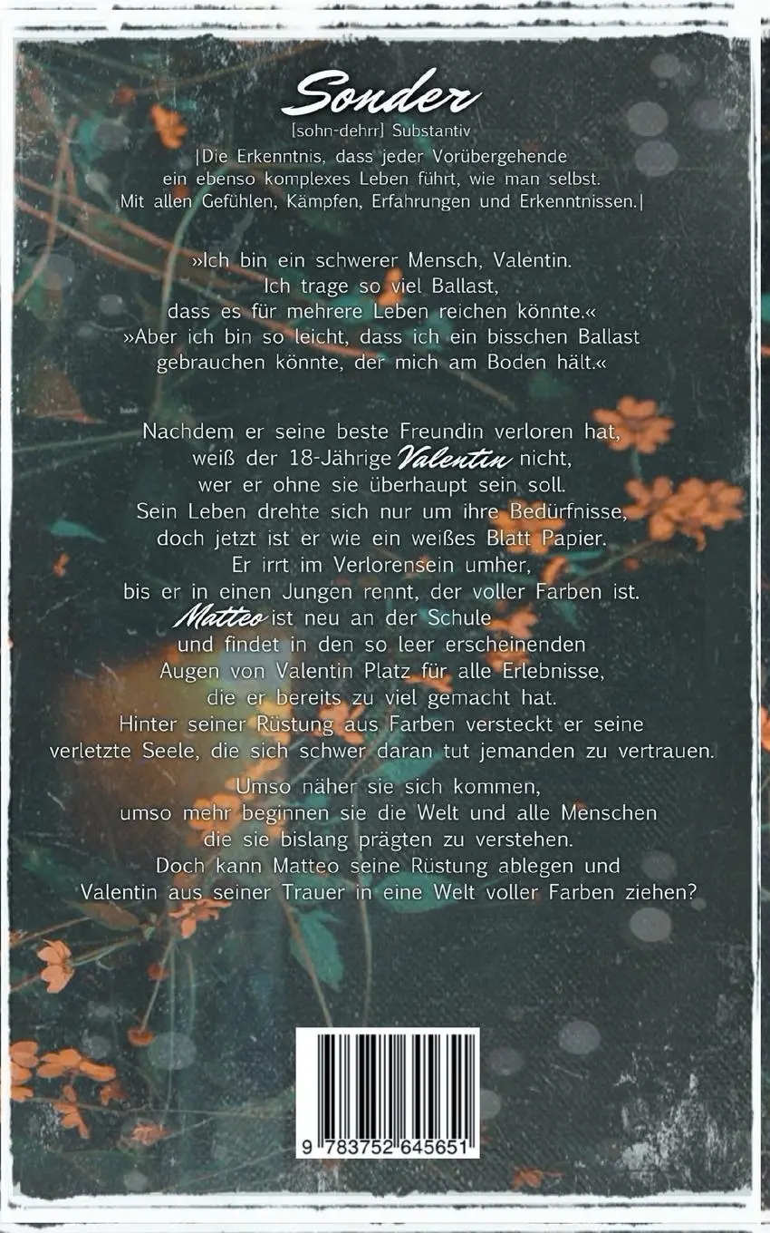 Rückseite: 9783752645651 | Sonder | Matteo &amp; Valentin | Juli Hex | Taschenbuch | Paperback | 2020