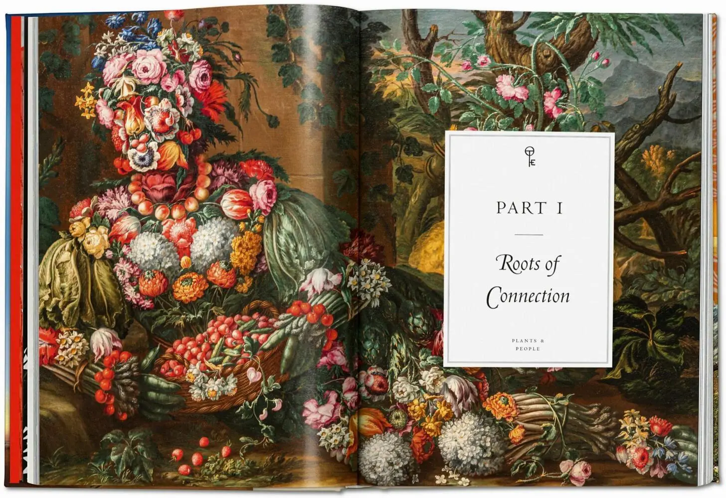 Bild: 9783836585651 | Magie des plantes. La Bibliothèque de l'Ésotérisme | Jessica Hundley