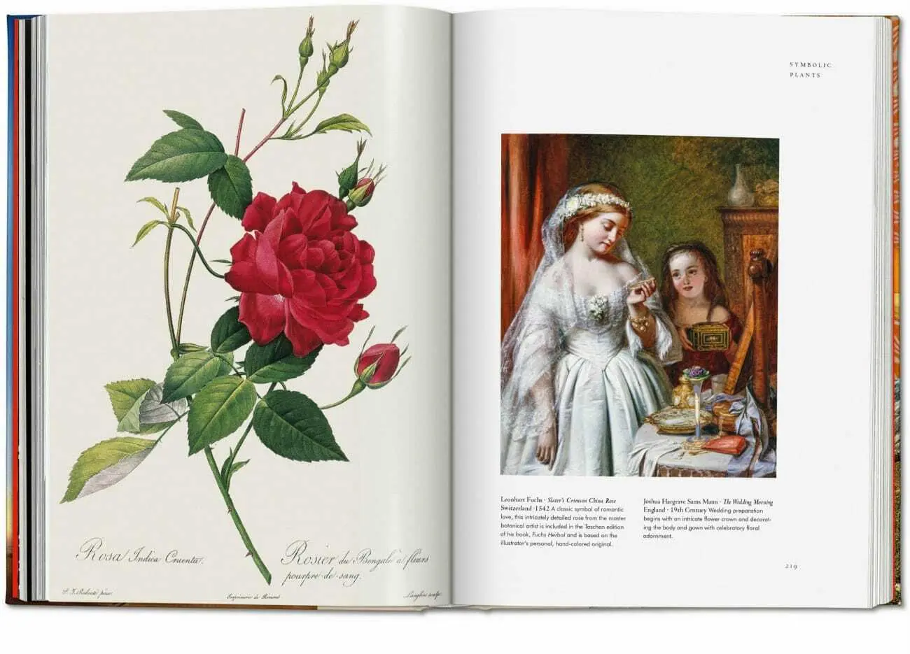 Bild: 9783836585651 | Magie des plantes. La Bibliothèque de l'Ésotérisme | Jessica Hundley