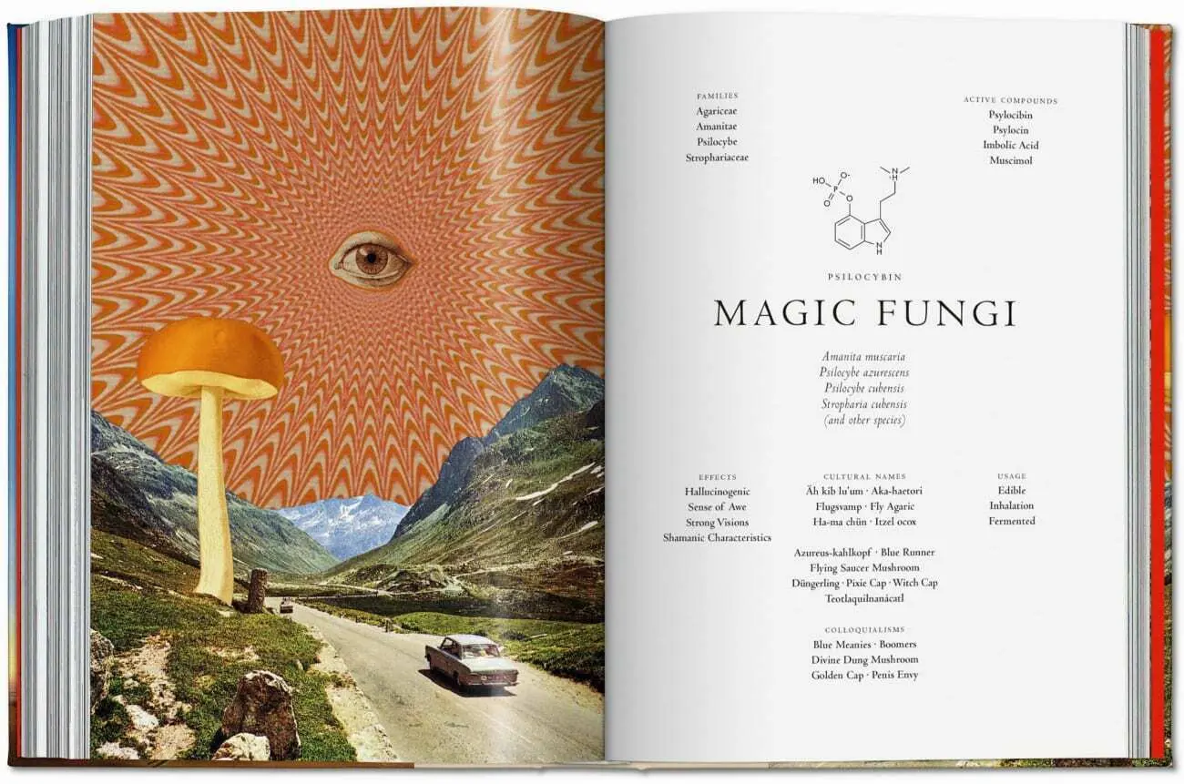 Bild: 9783836585651 | Magie des plantes. La Bibliothèque de l'Ésotérisme | Jessica Hundley