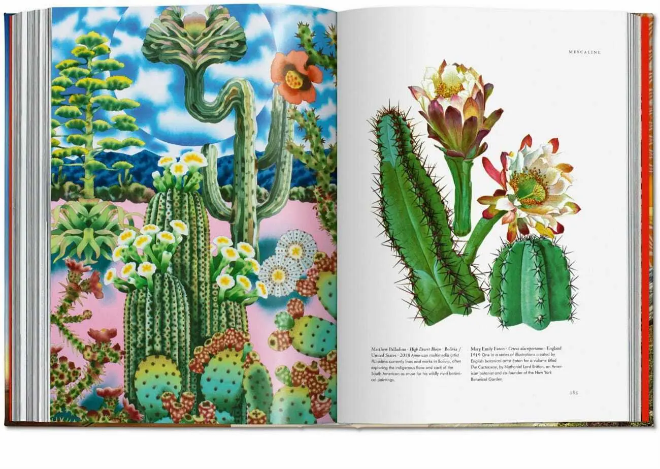 Bild: 9783836585651 | Magie des plantes. La Bibliothèque de l'Ésotérisme | Jessica Hundley