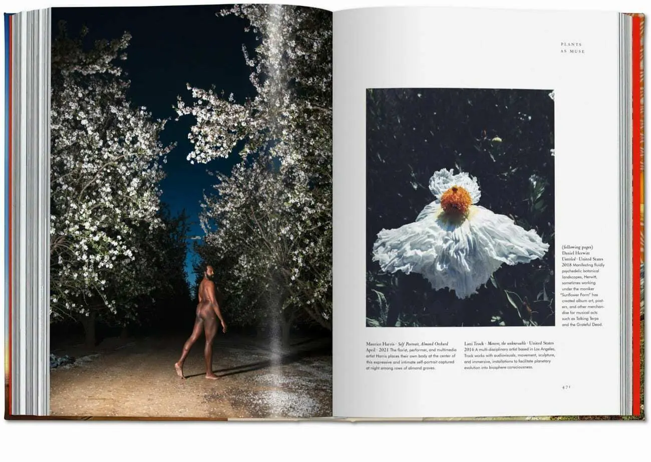 Bild: 9783836585651 | Magie des plantes. La Bibliothèque de l'Ésotérisme | Jessica Hundley