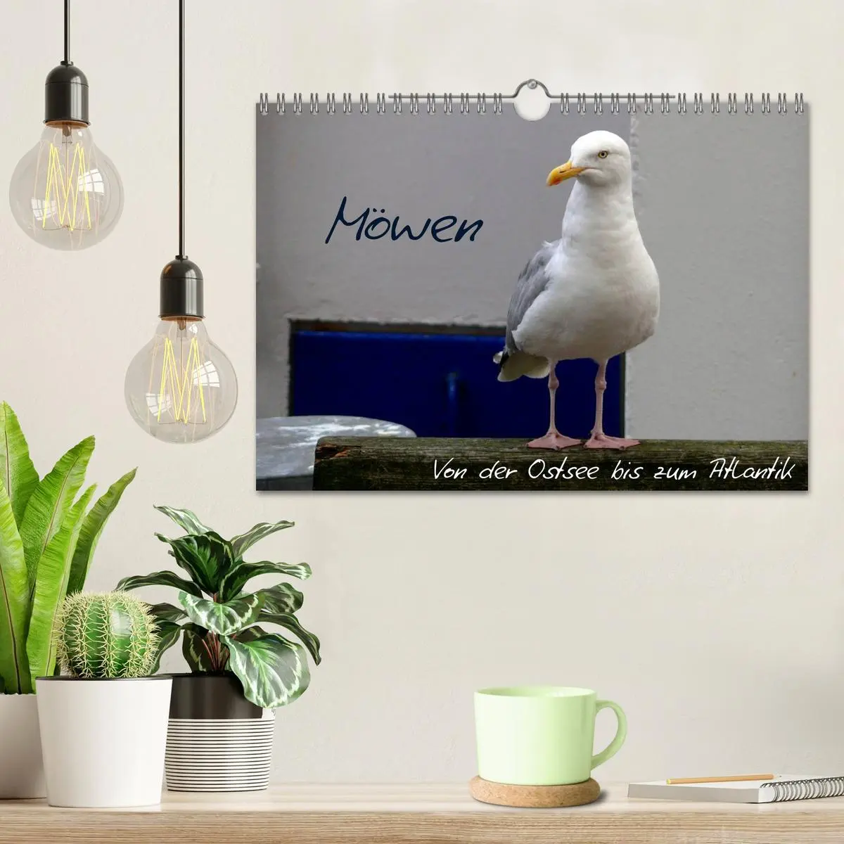 Bild: 9783516175851 | Möwen - Von der Ostsee bis zum Atlantik (Wandkalender 2026 DIN A4...