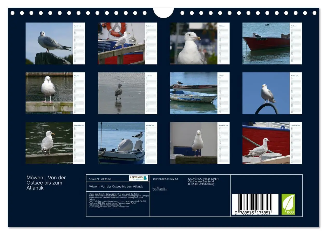 Bild: 9783516175851 | Möwen - Von der Ostsee bis zum Atlantik (Wandkalender 2026 DIN A4...