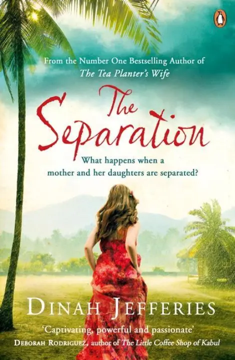 Penguin Books Ltd The Separation