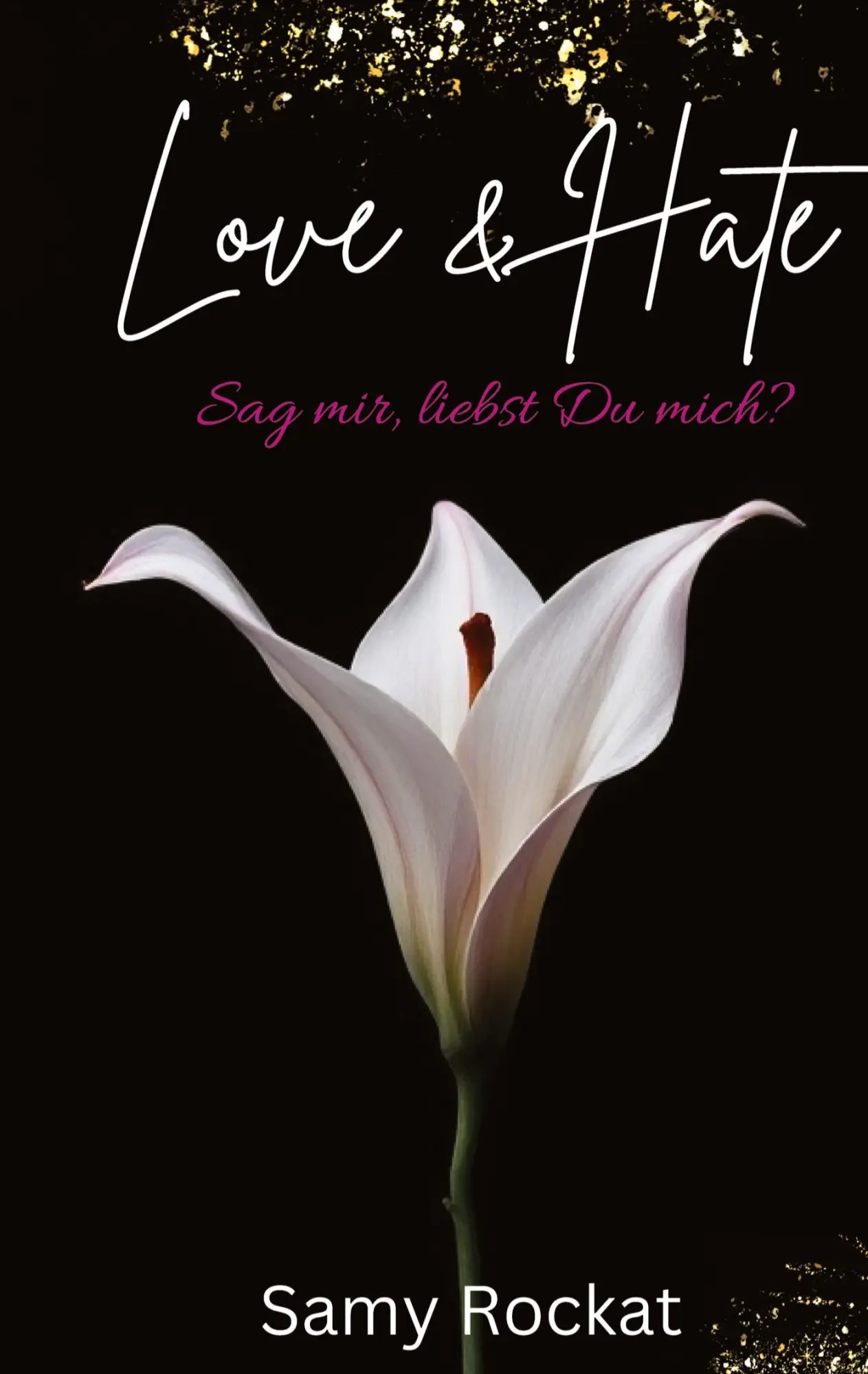 Cover: 9783384606051 | Love &amp; Hate | Sag mir, liebst Du mich? | Samy Rockat | Buch | 224 S.
