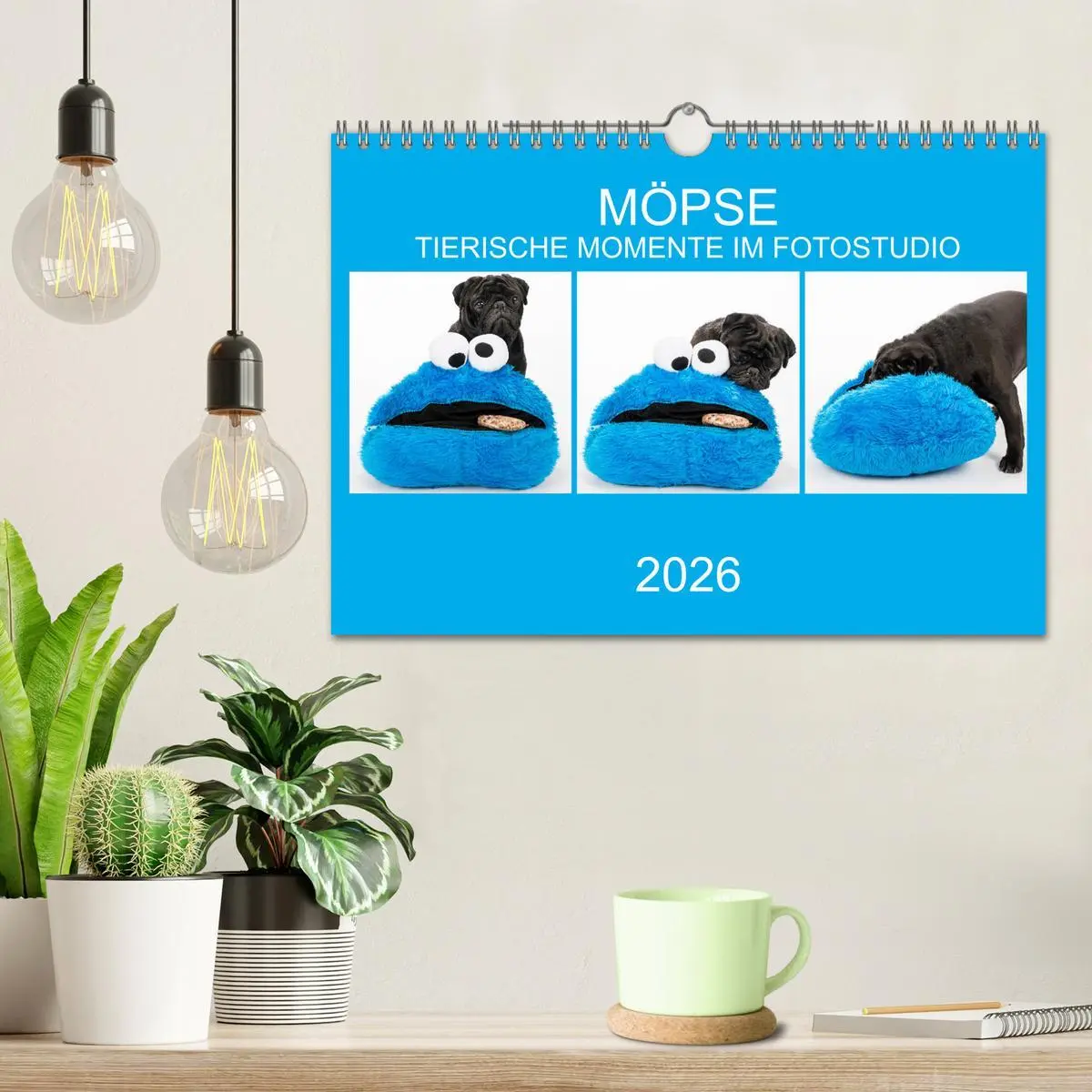Bild: 9783457886151 | MÖPSE - tierische Momente im Fotostudio (Wandkalender 2026 DIN A4...