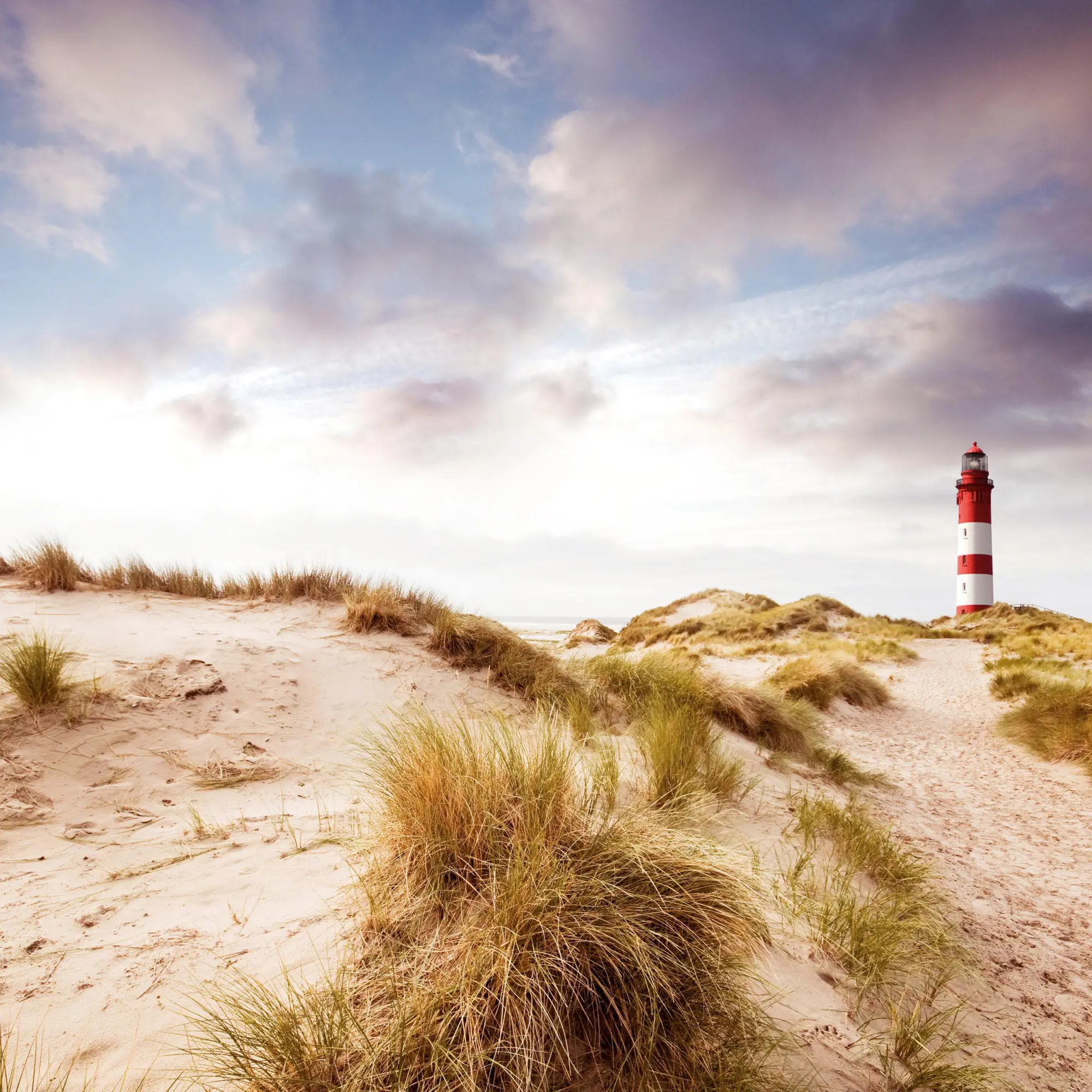 Bild: 9783959296151 | Nordsee/Northern Sea 2026 | Kalender 2026 | Kalender | Artwork Edition