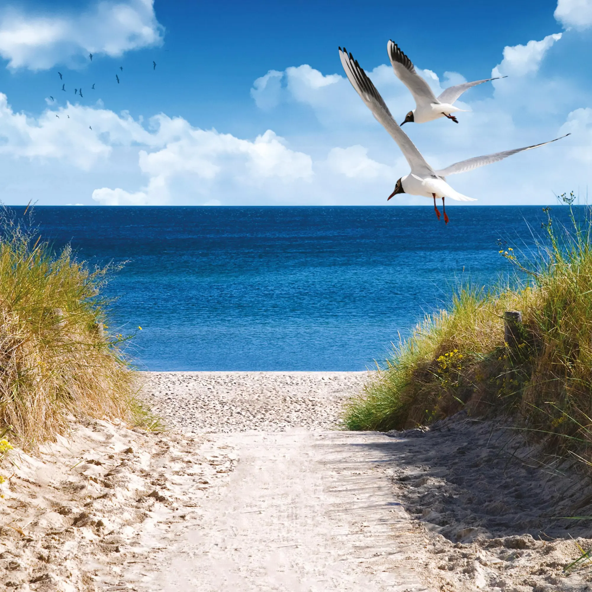 Bild: 9783959296151 | Nordsee/Northern Sea 2026 | Kalender 2026 | Kalender | Artwork Edition