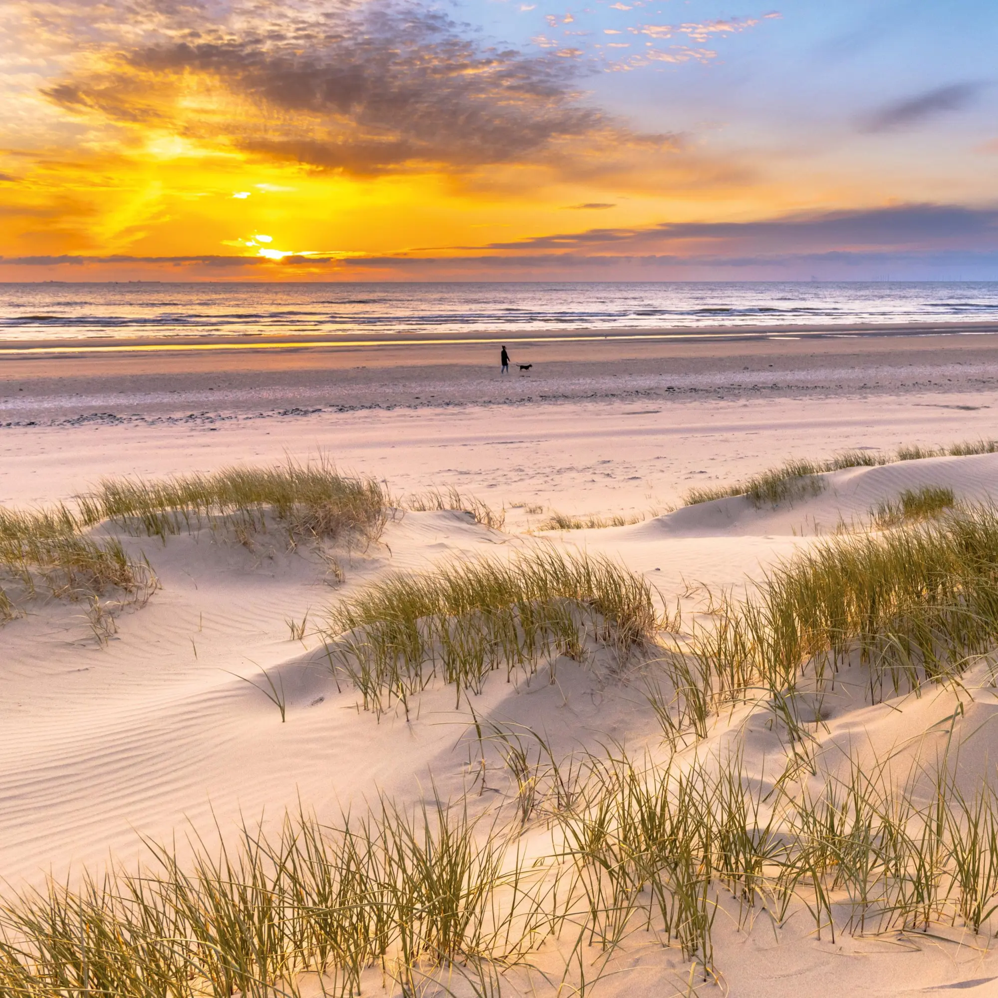 Bild: 9783959296151 | Nordsee/Northern Sea 2026 | Kalender 2026 | Kalender | Artwork Edition