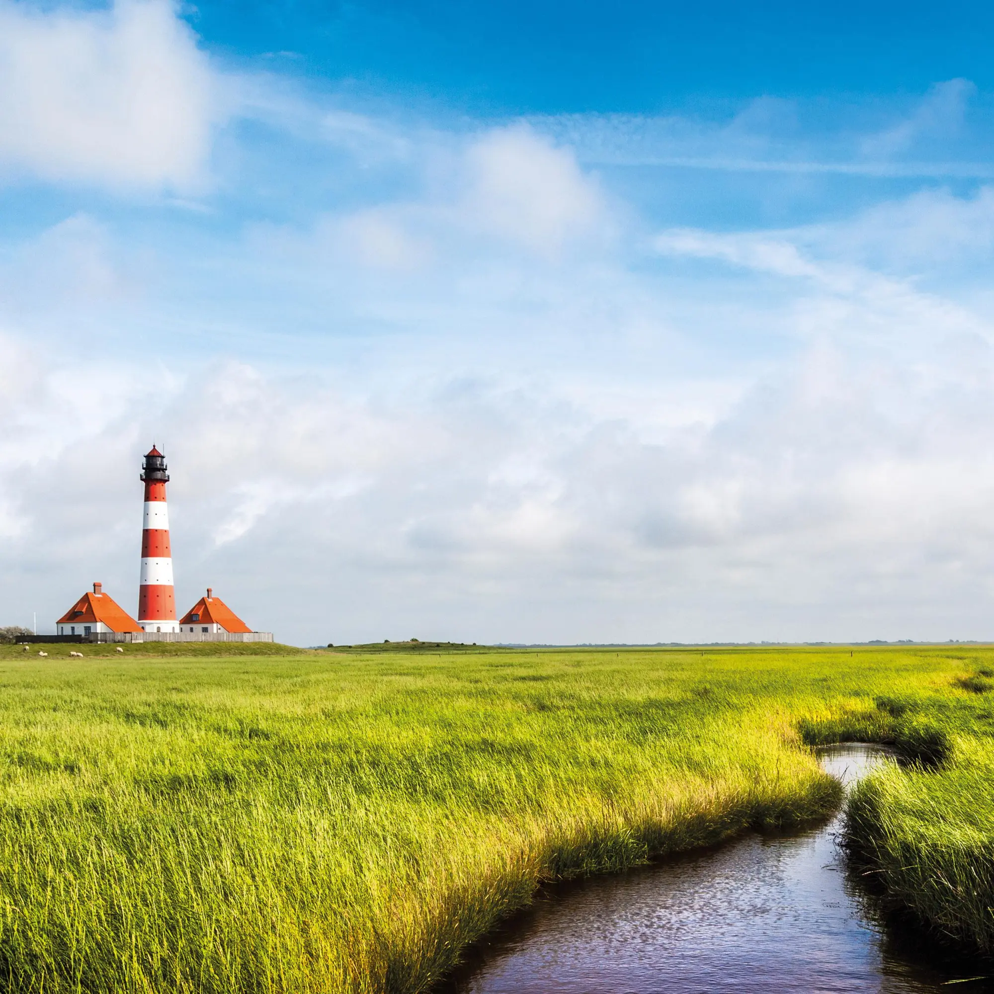 Bild: 9783959296151 | Nordsee/Northern Sea 2026 | Kalender 2026 | Kalender | Artwork Edition