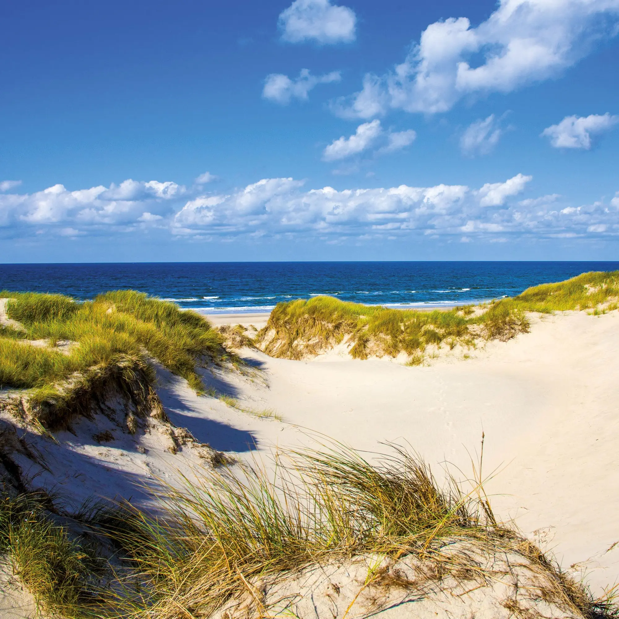 Bild: 9783959296151 | Nordsee/Northern Sea 2026 | Kalender 2026 | Kalender | Artwork Edition