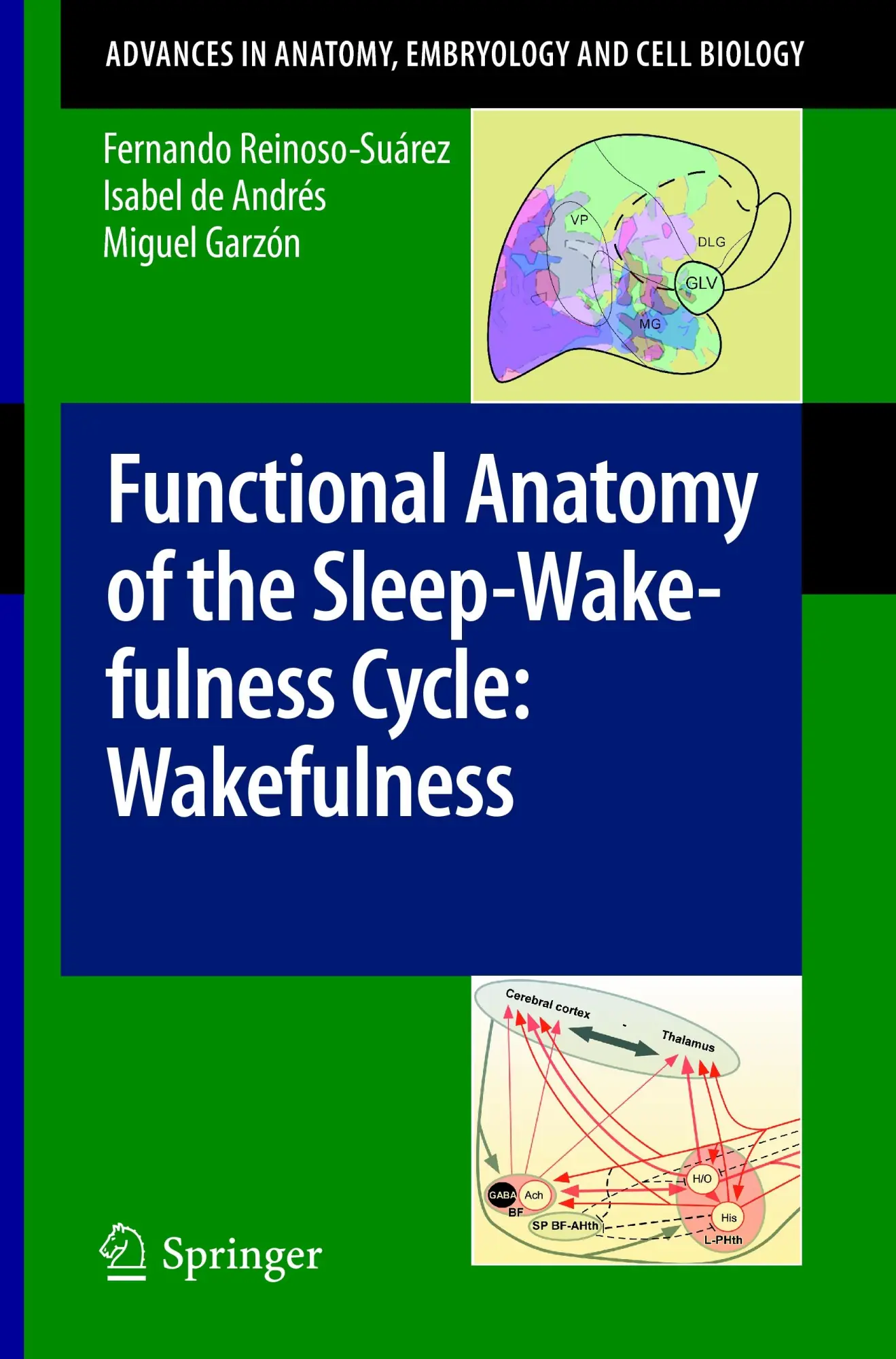 Functional Anatomy of the Sleep-Wakefulness Cycle Wakefulness - Fernando Reinoso-Suárez Isabel de Andrés Miguel Garzón Kartoniert (TB)