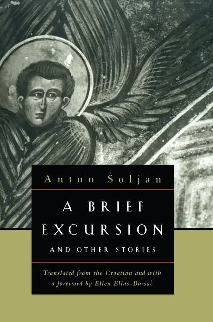 Cover: 9780810116351 | A Brief Excursion and Other Stories | Antun Soljan | Taschenbuch