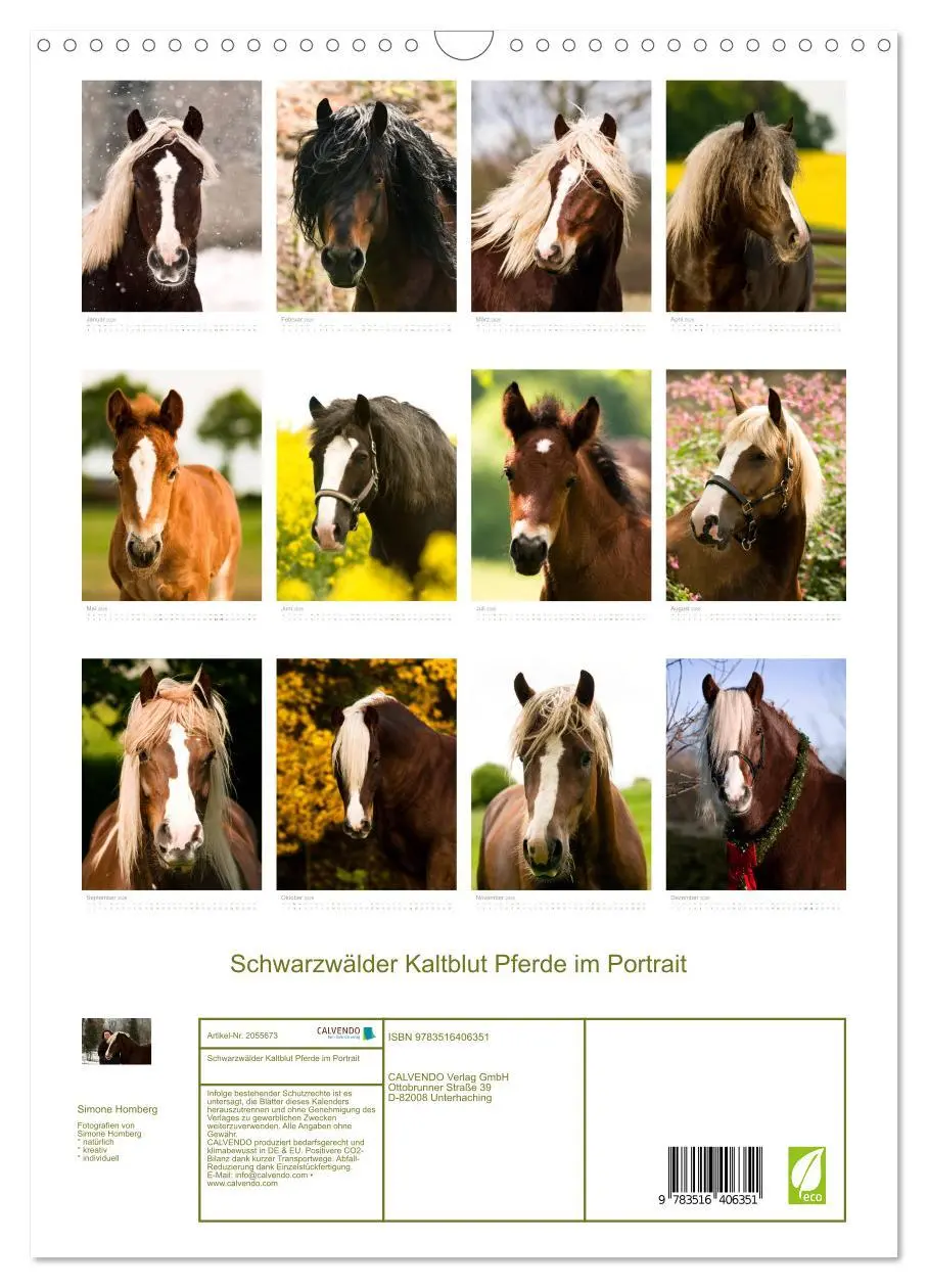 Bild: 9783516406351 | Schwarzwälder Kaltblut Pferde im Portrait (Wandkalender 2026 DIN A3...