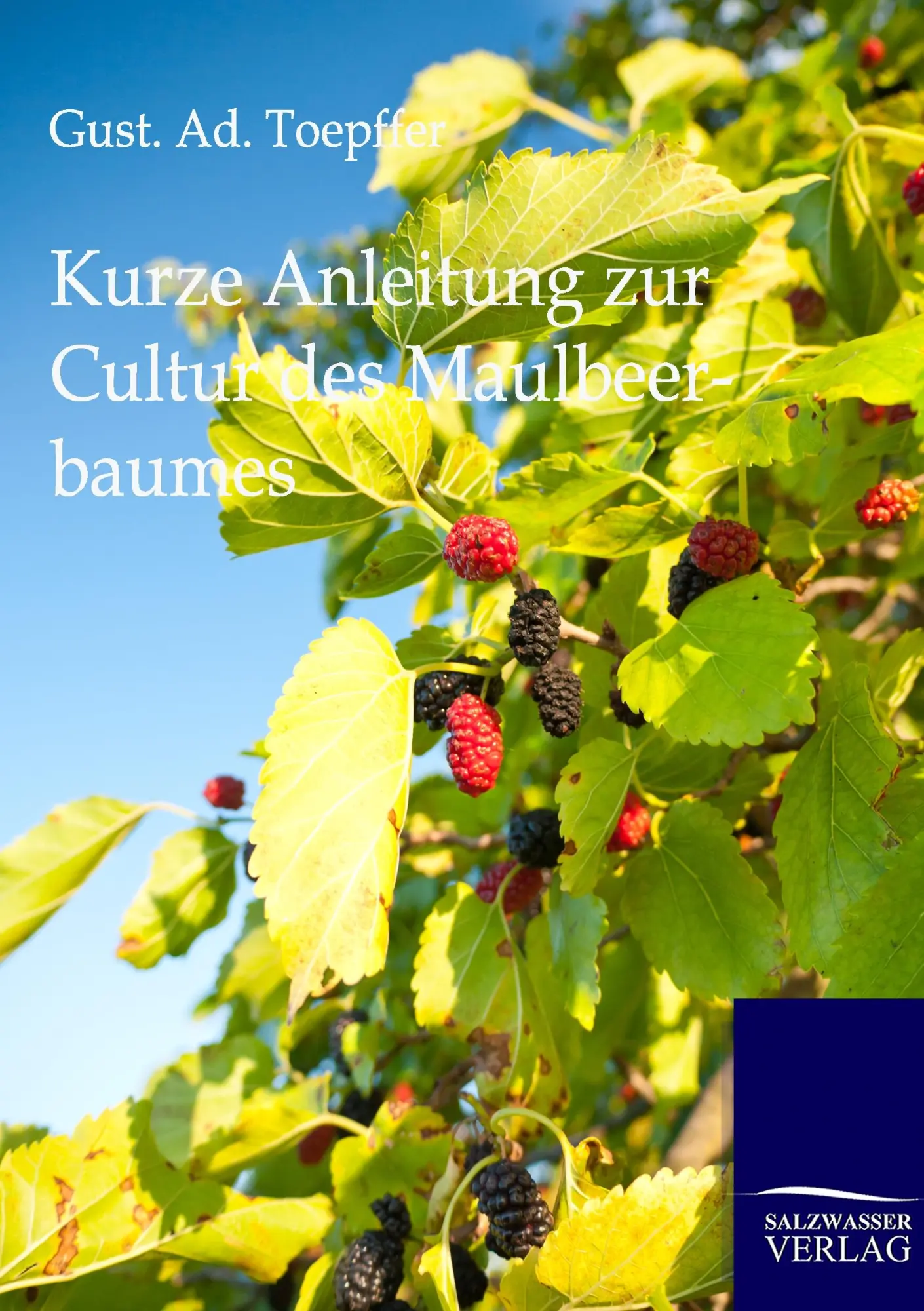 Cover: 9783864446351 | Kurze Anleitung zur Cultur des Maulbeerbaumes | Gust. Ad. Toepffer