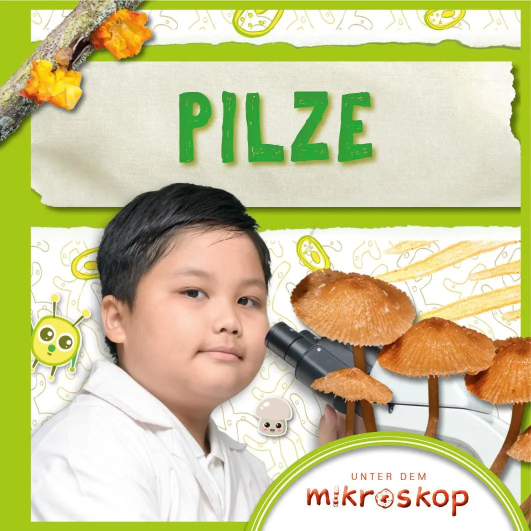 Cover: 9789463416351 | Pilze | Unter dem Mikroskop | John Wood | Buch | 24 S. | Deutsch