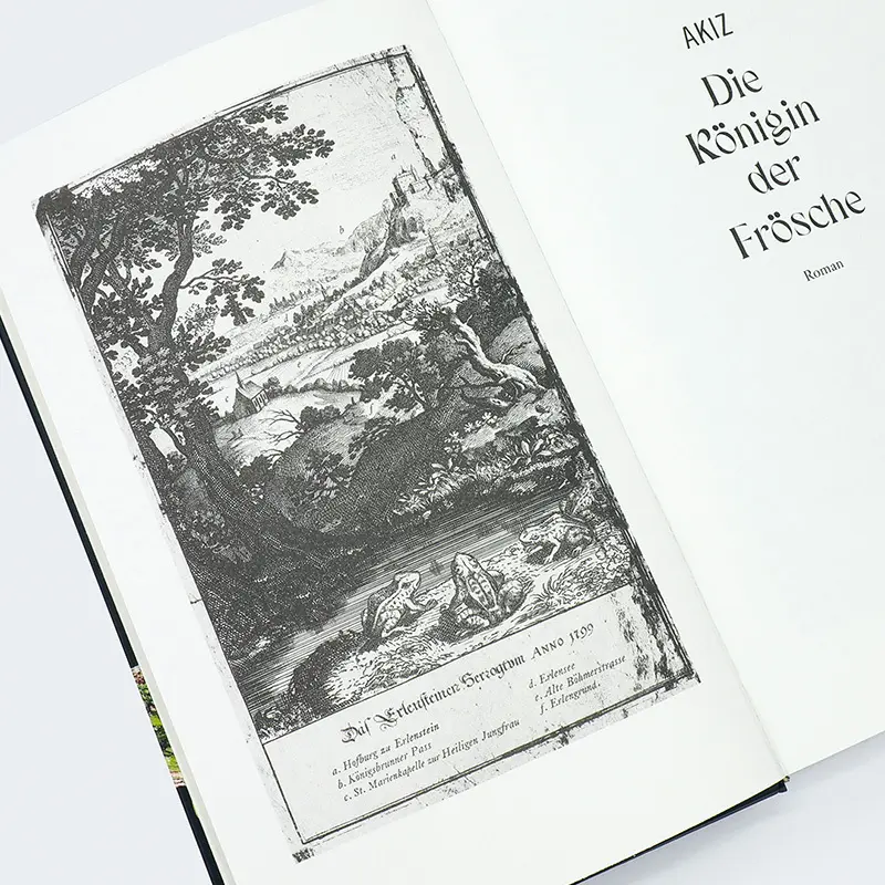 Bild: 9783446276451 | Die Königin der Frösche | Roman | Akiz | Buch | 176 S. | Deutsch
