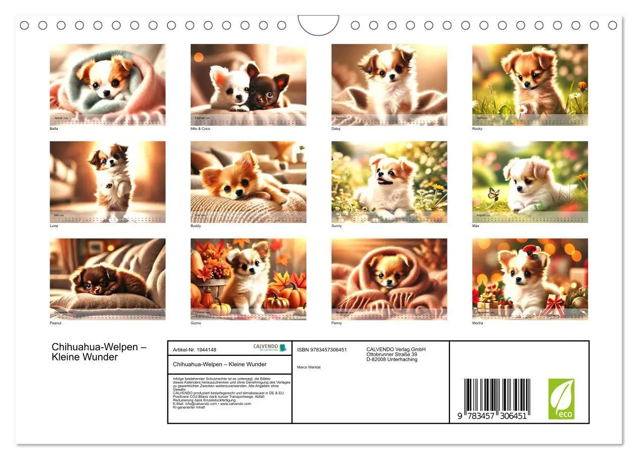 Bild: 9783457306451 | Chihuahua-Welpen - Kleine Wunder (Wandkalender 2026 DIN A4 quer),...