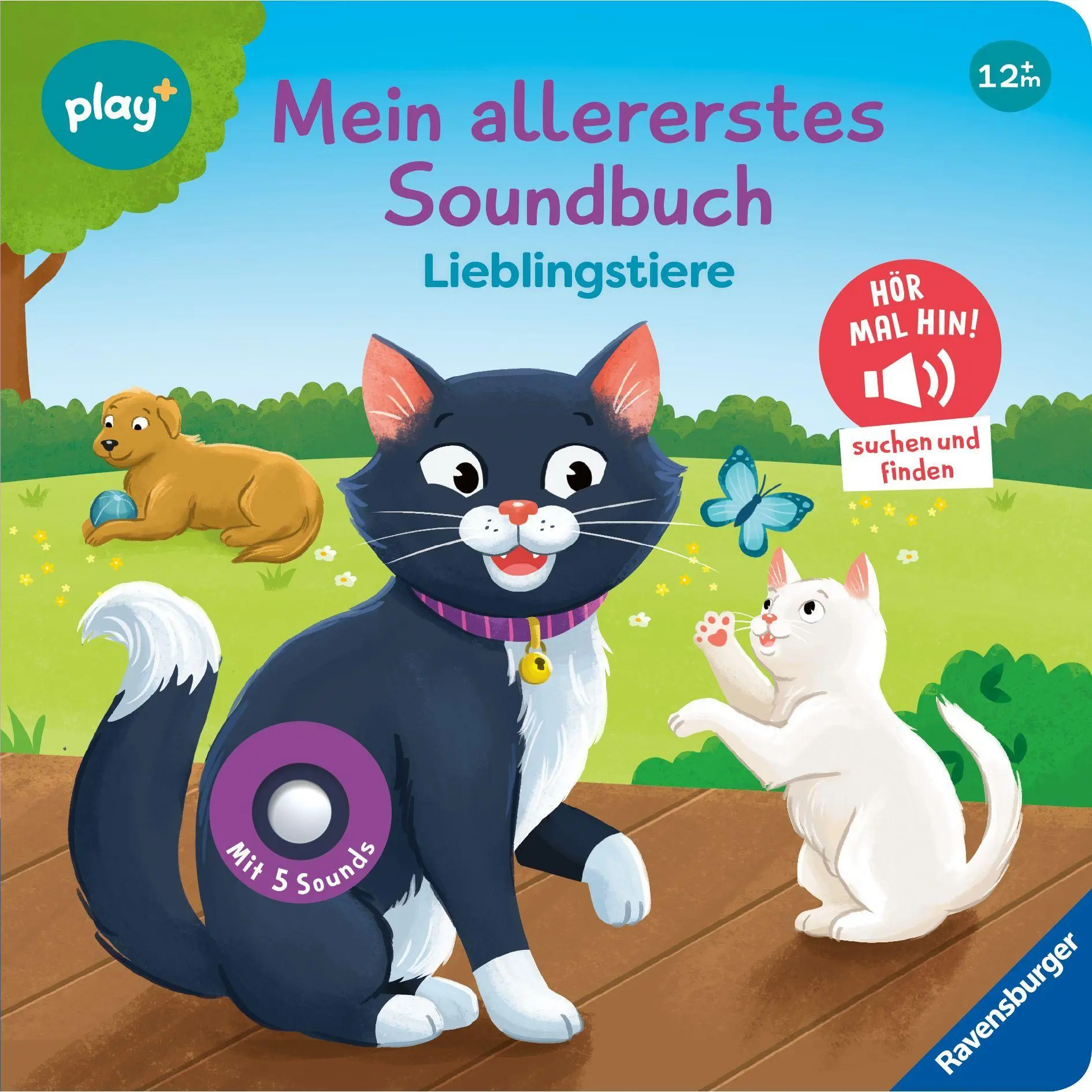 Cover: 9783473456451 | Play+ Mein allererstes Soundbuch Lieblingstiere - ab 12 Monate | Höck