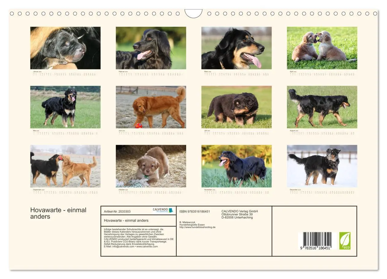 Bild: 9783516186451 | Hovawarte - einmal anders (Wandkalender 2026 DIN A3 quer), CALVENDO...