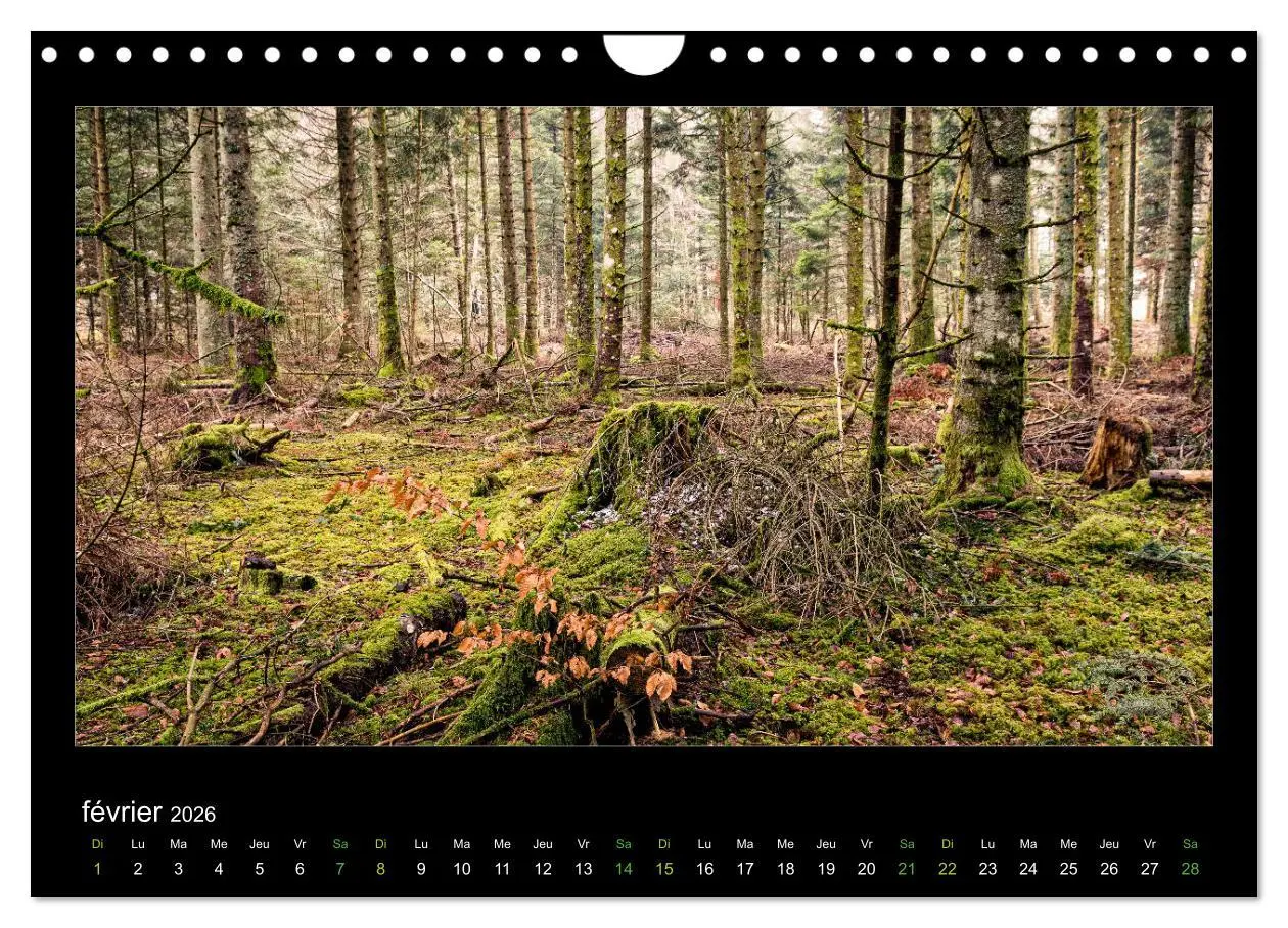 Bild: 9783516566451 | L'Auvergne est belle (Calendrier mural 2026 DIN A4 vertical),...