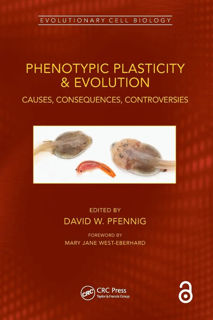 Cover: 9780367676551 | Phenotypic Plasticity &amp; Evolution | David W. Pfennig | Taschenbuch